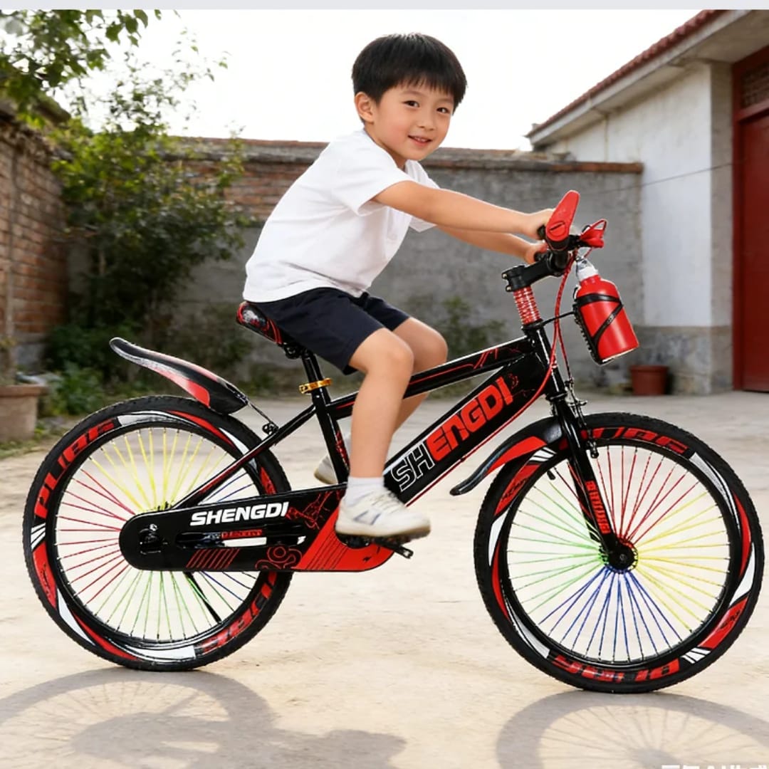 Vélo Enfant Âge 4 à 12 ans